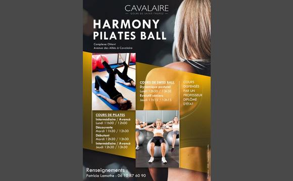 Harmony Pilates Ball