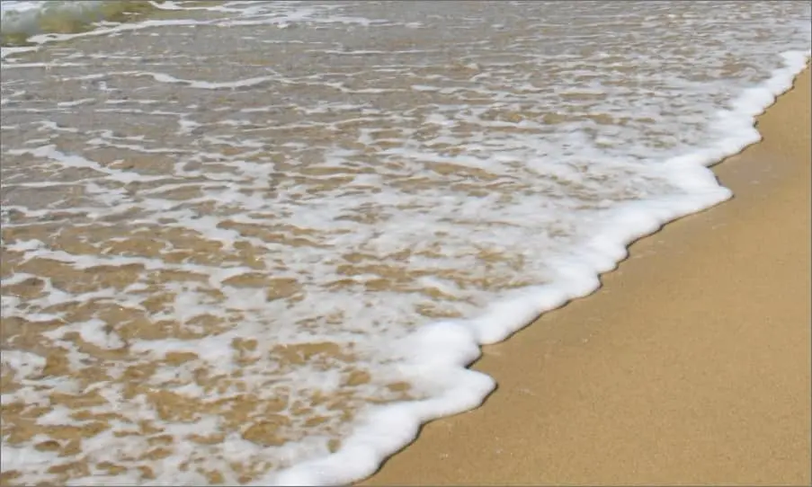 Plan rapproché sur le bord de mer