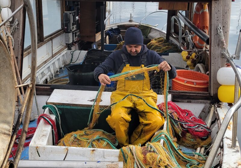 Retour de pêche des traditionnels bateaux de cavalaire