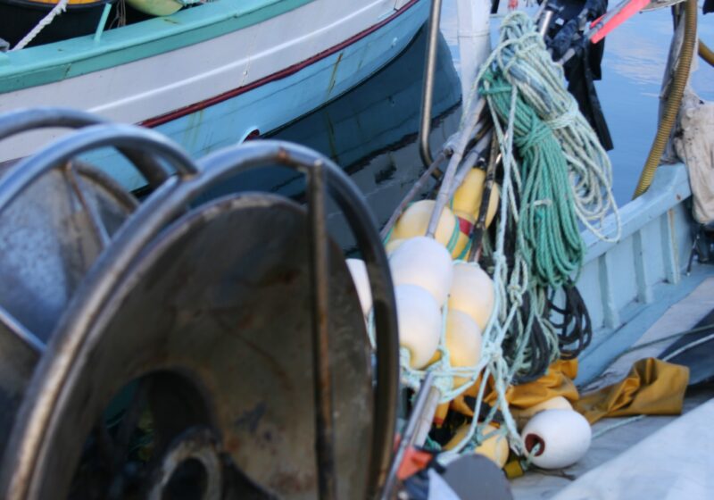 Zoom sur les bateaux de pêche de Cavalaire sur mer