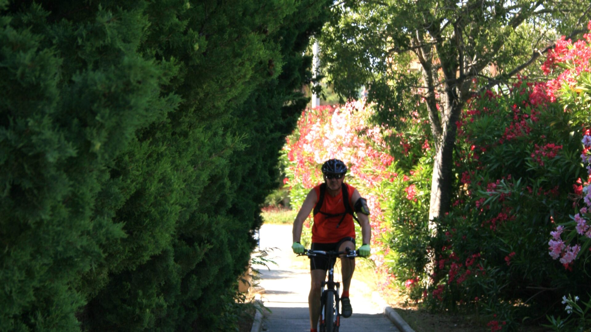 Vélo sur la piste cyclable V65 qui passe à Cavalaire sur mer