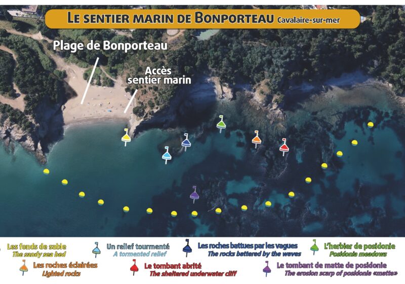 Plan sentier marin Bonporteau à Cavalaire pour découvrir les fonds marins