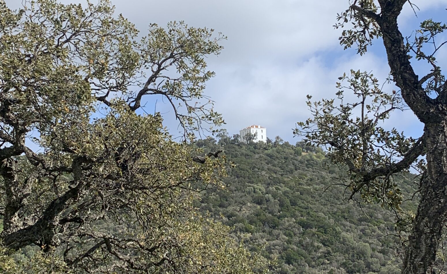 La colline Foncin sur le chemin du Dattier.