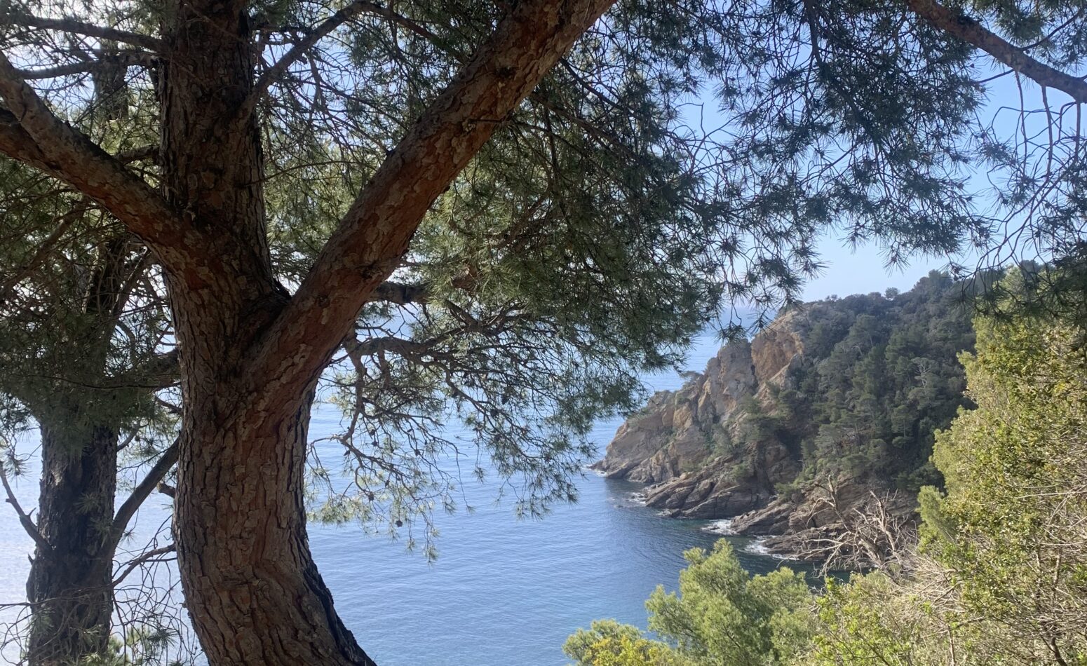 Vue sur la mer lors de la randonnée du dattier.