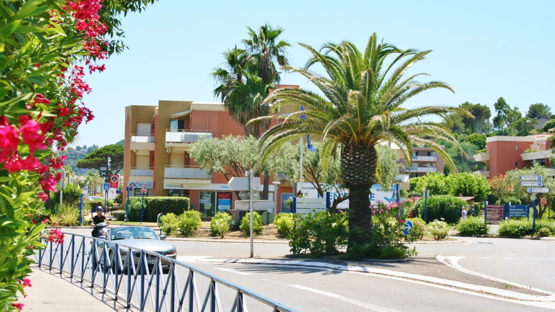 Entrée de la ville sous les palmiers, lauriers de Cavalaire sur la côte d'Azur
