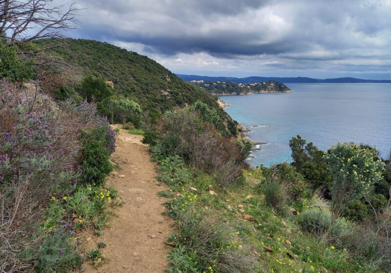 Sentier du littoral et ses jolis points de vue sur la mer à Cavalaire