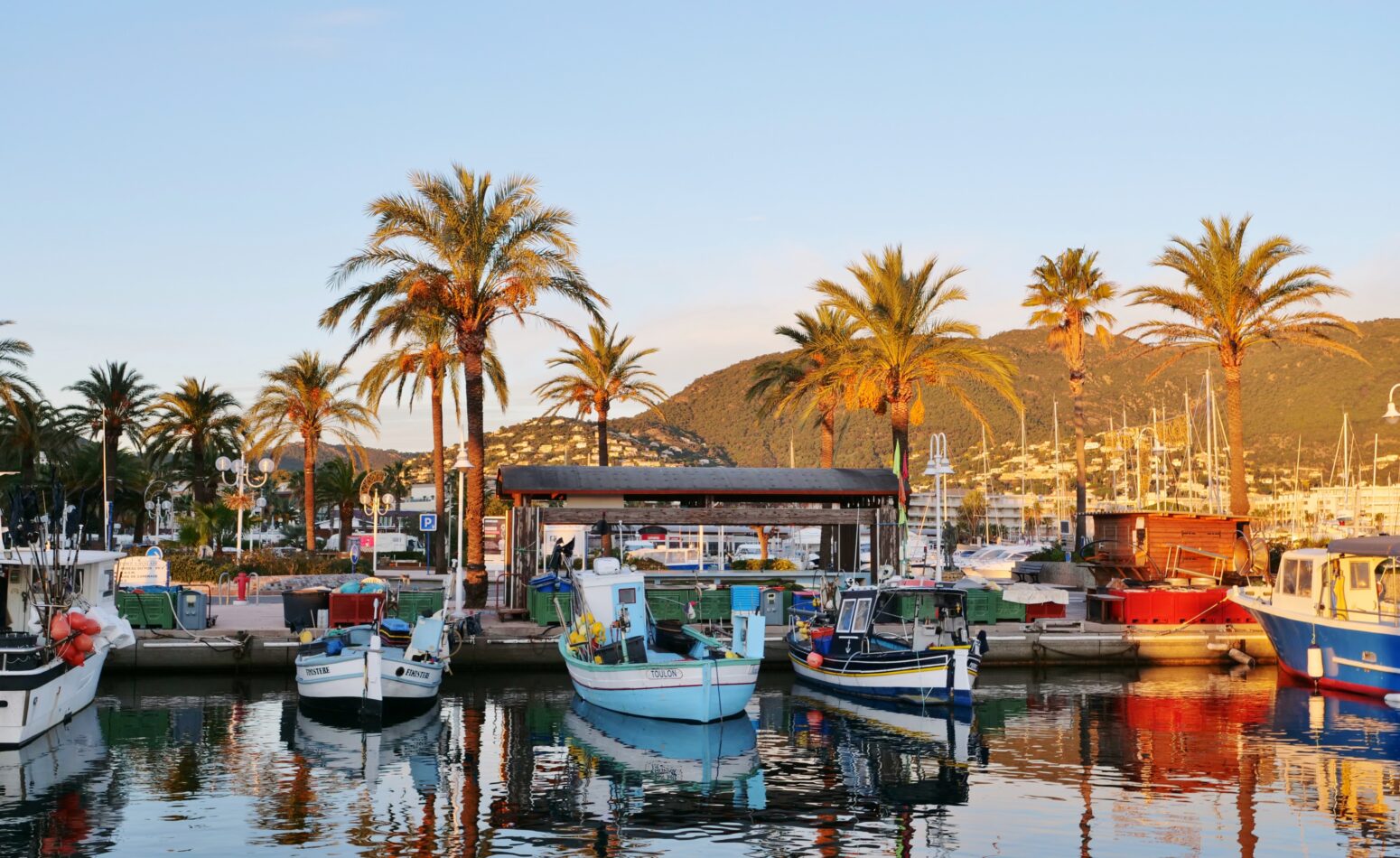 Quai des traditionnels bateaux de pêche de Cavalaire et sa criée aux pêcheurs