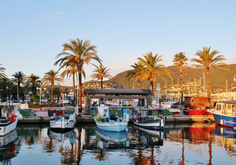 Quai des traditionnels bateaux de pêche de Cavalaire et sa criée aux pêcheurs