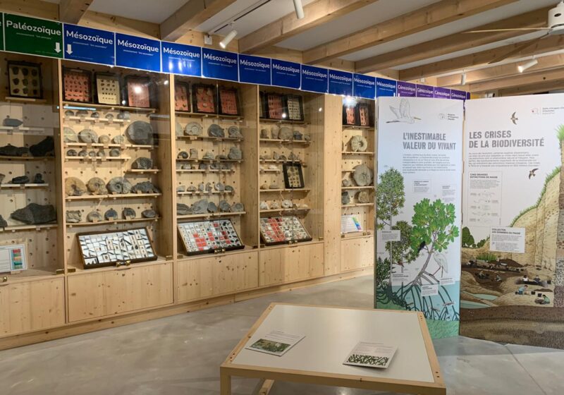 Exposition maison de la nature à cavalaire sur mer